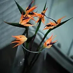 Paradise In Malaga, Recep 24 H, Swimming Pool, Near To The Beach, Center And Airport, Train, Bus, Taxi Апартаменти