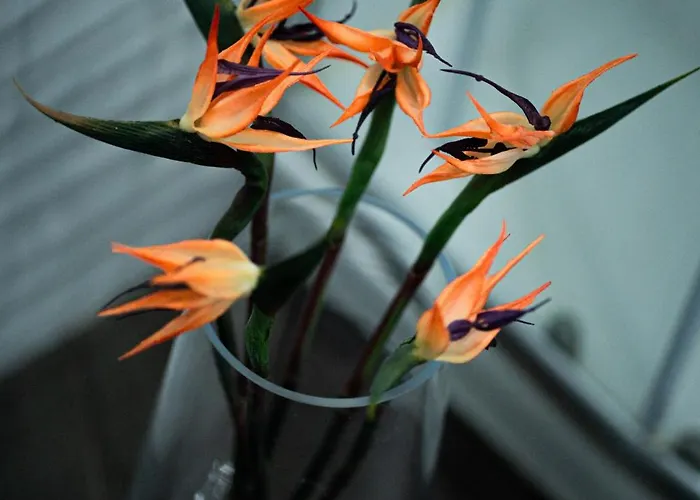 Paradise In Malaga, Recep 24 H, Swimming Pool, Near To The Beach, Center And Airport, Train, Bus, Taxi Appartement