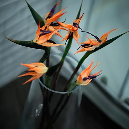 Paradise In Malaga, Recep 24 H, Swimming Pool, Near To The Beach, Center And Airport, Train, Bus, Taxi Apartamento